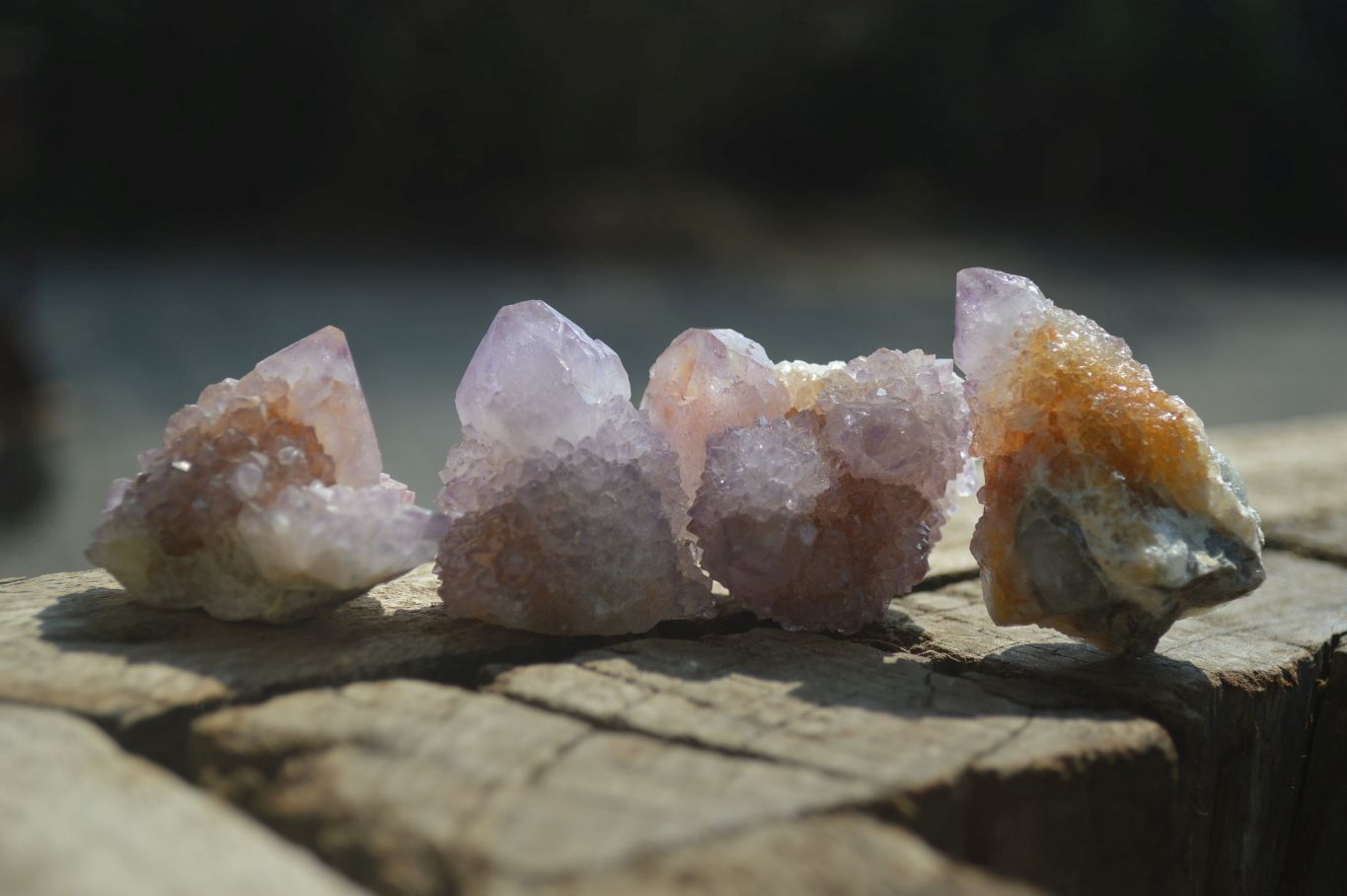 Natural Ametrine Spirit Quartz Clusters x 35 From Boekenhouthoek, South Africa - Toprock Gemstones and Minerals 