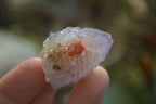Natural Ametrine Spirit Quartz Clusters x 35 From Boekenhouthoek, South Africa - Toprock Gemstones and Minerals 
