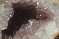 Natural Zululand Amethyst Geodes x 2 from Jozini, South Africa - Toprock Gemstones and Minerals 
