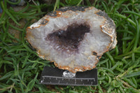 Natural Zululand Amethyst Geodes x 2 from Jozini, South Africa - Toprock Gemstones and Minerals 