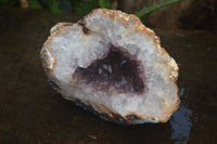 Natural Zululand Amethyst Geodes x 2 from Jozini, South Africa - Toprock Gemstones and Minerals 