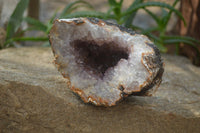 Natural Zululand Amethyst Geodes x 2 from Jozini, South Africa - Toprock Gemstones and Minerals 