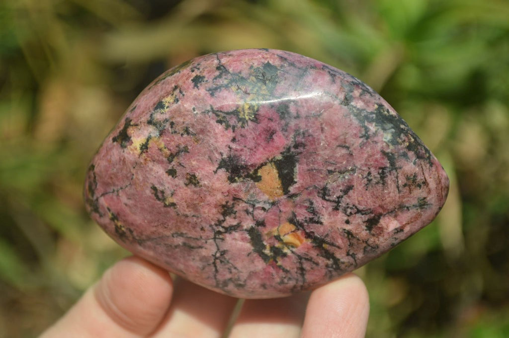 Polished Rhodonite Free Forms x 6 From Zimbabwe - Toprock Gemstones and Minerals 