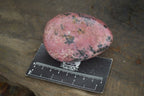 Polished Rhodonite Free Forms x 6 From Zimbabwe - Toprock Gemstones and Minerals 