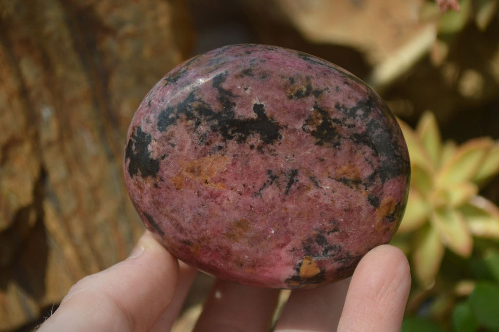 Polished Rhodonite Free Forms x 6 From Zimbabwe - Toprock Gemstones and Minerals 