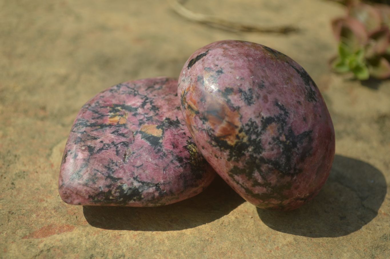 Polished Rhodonite Free Forms x 6 From Zimbabwe - Toprock Gemstones and Minerals 