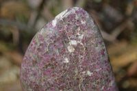 Polished Rubellite Pink Tourmaline Standing Free Form x 1 From Madagascar - Toprock Gemstones and Minerals 