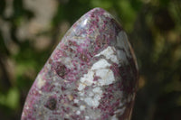 Polished Rubellite Pink Tourmaline Standing Free Form x 1 From Madagascar - Toprock Gemstones and Minerals 