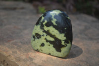 Polished Leopard Stone Standing Free Forms x 6 From Nyanga, Zimbabwe - Toprock Gemstones and Minerals 