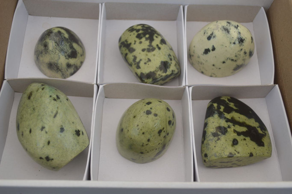 Polished Leopard Stone Standing Free Forms x 6 From Nyanga, Zimbabwe - Toprock Gemstones and Minerals 