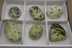 Polished Leopard Stone Standing Free Forms x 6 From Nyanga, Zimbabwe - Toprock Gemstones and Minerals 