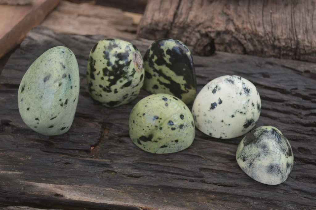 Polished Leopard Stone Standing Free Forms x 6 From Nyanga, Zimbabwe - Toprock Gemstones and Minerals 