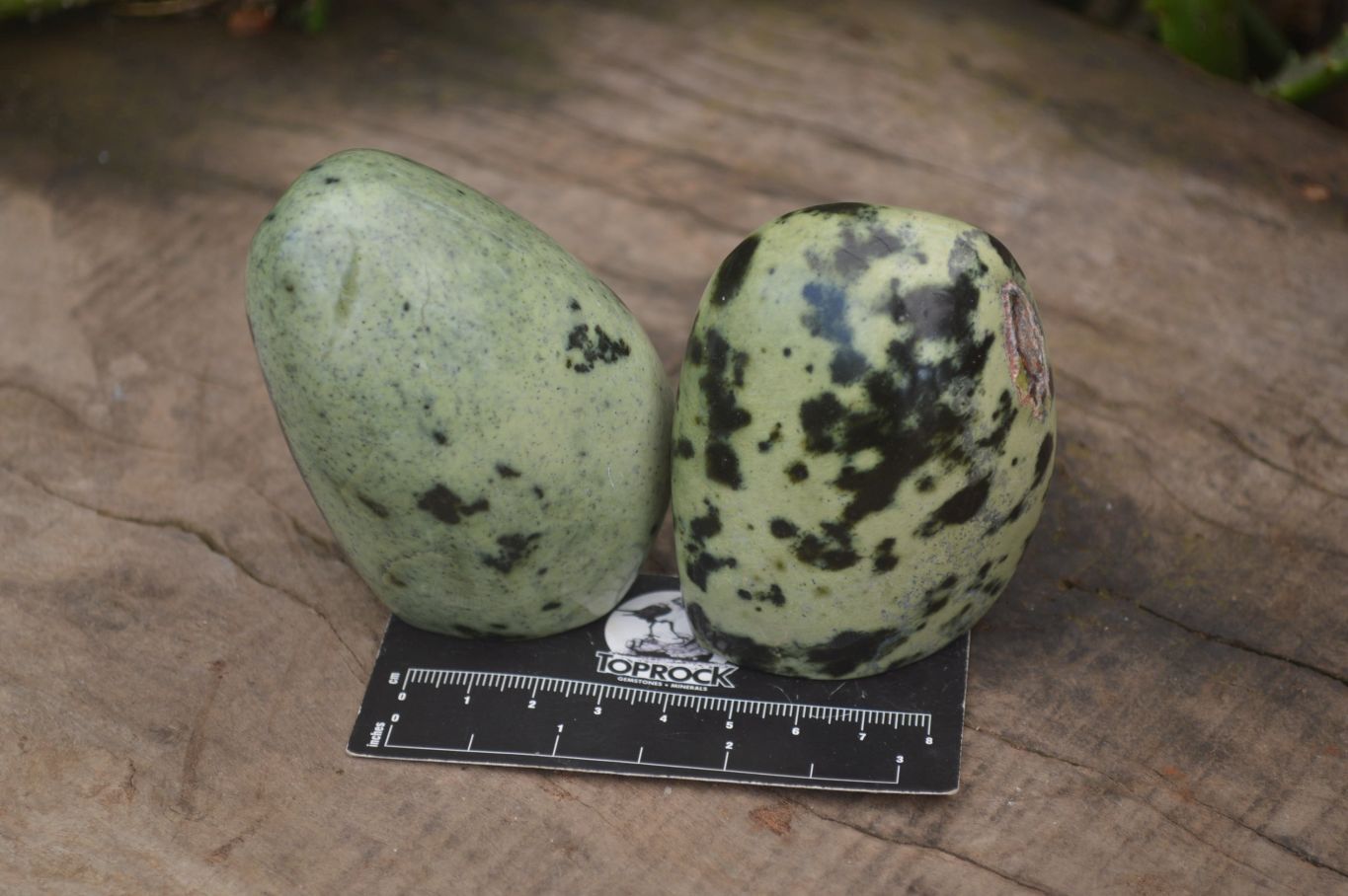 Polished Leopard Stone Standing Free Forms x 6 From Nyanga, Zimbabwe - Toprock Gemstones and Minerals 
