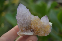 Natural Ametrine Spirit Quartz Clusters x 12 From Boekenhouthoek, South Africa
