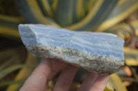 Natural Crystalline Blue Lace Agate Plates x 2 From Namibia - Toprock Gemstones and Minerals 