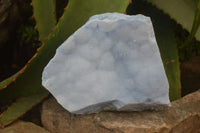 Natural Crystalline Blue Lace Agate Plates x 2 From Namibia - Toprock Gemstones and Minerals 