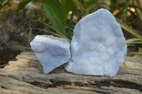 Natural Crystalline Blue Lace Agate Plates x 2 From Namibia - Toprock Gemstones and Minerals 