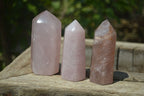 Polished Rose Quartz Points x 12 From Madagascar - Toprock Gemstones and Minerals 
