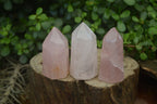 Polished Rose Quartz Points x 12 From Madagascar - Toprock Gemstones and Minerals 