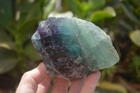 Natural Watermelon Fluorite Cobbed Specimens x 5 From Uis, Namibia - Toprock Gemstones and Minerals 