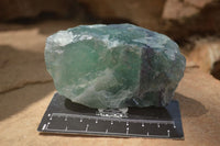 Natural Watermelon Fluorite Cobbed Specimens x 5 From Uis, Namibia - Toprock Gemstones and Minerals 