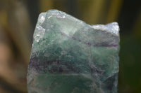 Natural Watermelon Fluorite Cobbed Specimens x 5 From Uis, Namibia - Toprock Gemstones and Minerals 