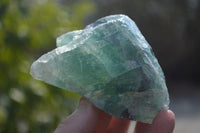 Natural Watermelon Fluorite Cobbed Specimens x 5 From Uis, Namibia - Toprock Gemstones and Minerals 