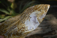 Polished Ocean Jasper Flame Sculpture x 1 From Madagascar - Toprock Gemstones and Minerals 