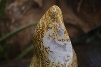 Polished Ocean Jasper Flame Sculpture x 1 From Madagascar - Toprock Gemstones and Minerals 