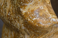 Polished Ocean Jasper Flame Sculpture x 1 From Madagascar - Toprock Gemstones and Minerals 