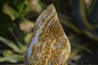 Polished Ocean Jasper Flame Sculpture x 1 From Madagascar - Toprock Gemstones and Minerals 