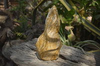 Polished Ocean Jasper Flame Sculpture x 1 From Madagascar - Toprock Gemstones and Minerals 