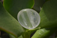 Polished Rock Crystal & Girasol Quartz Palm Stones x 14 From Madagascar - Toprock Gemstones and Minerals 