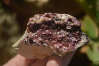 Natural Salrose Cobaltion Dolomite Specimens x 12 From Kakanda, Congo - Toprock Gemstones and Minerals 