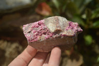 Natural Salrose Cobaltion Dolomite Specimens x 12 From Kakanda, Congo - Toprock Gemstones and Minerals 