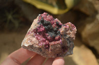 Natural Salrose Cobaltion Dolomite Specimens x 12 From Kakanda, Congo - Toprock Gemstones and Minerals 