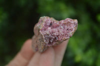 Natural Salrose Cobaltion Dolomite Specimens x 12 From Kakanda, Congo - Toprock Gemstones and Minerals 