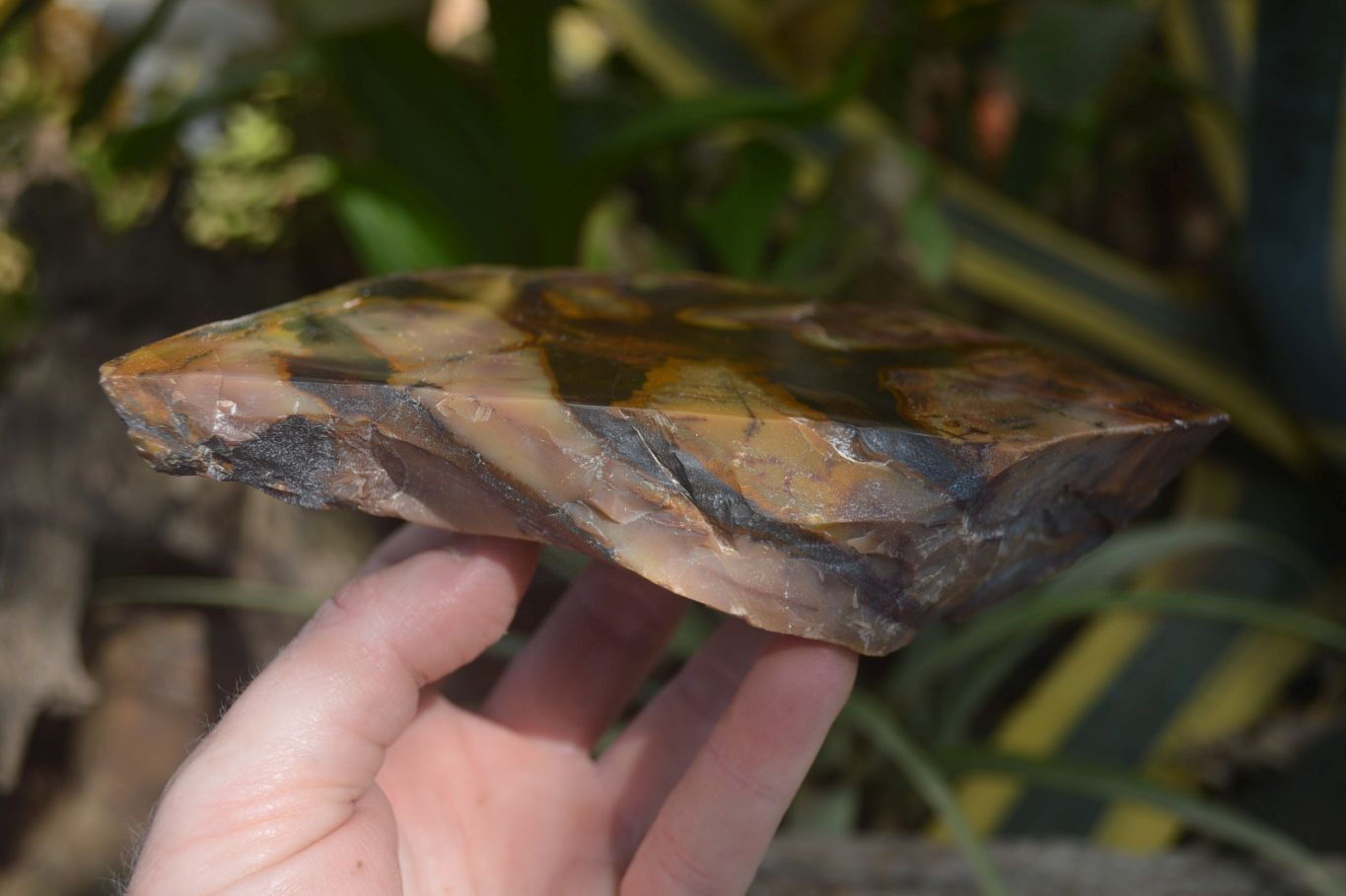 Polished On One Side Nguni Jasper Specimens x 2 From Prieska, South Africa - Toprock Gemstones and Minerals 