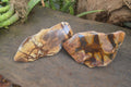 Polished On One Side Nguni Jasper Specimens x 2 From Prieska, South Africa - Toprock Gemstones and Minerals 