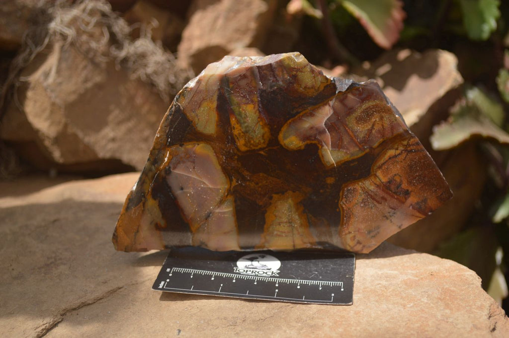 Polished On One Side Nguni Jasper Specimens x 2 From Prieska, South Africa - Toprock Gemstones and Minerals 
