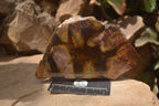Polished On One Side Nguni Jasper Specimens x 2 From Prieska, South Africa - Toprock Gemstones and Minerals 