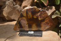 Polished On One Side Nguni Jasper Specimens x 2 From Prieska, South Africa - Toprock Gemstones and Minerals 
