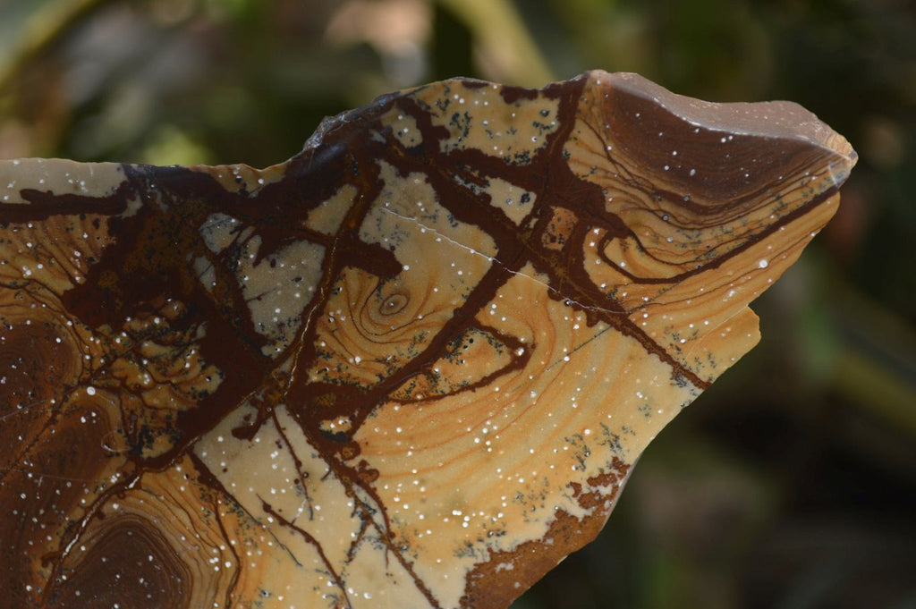 Polished On One Side Nguni Jasper Specimens x 2 From Prieska, South Africa - Toprock Gemstones and Minerals 