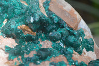 Natural Emerald Dioptase Matrix Specimen x 1 From Namibia - Toprock Gemstones and Minerals 
