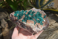 Natural Emerald Dioptase Matrix Specimen x 1 From Namibia - Toprock Gemstones and Minerals 