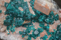 Natural Emerald Dioptase Matrix Specimen x 1 From Namibia - Toprock Gemstones and Minerals 