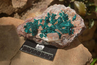 Natural Emerald Dioptase Matrix Specimen x 1 From Namibia - Toprock Gemstones and Minerals 