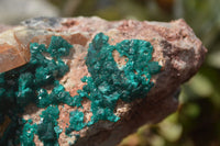 Natural Emerald Dioptase Matrix Specimen x 1 From Namibia - Toprock Gemstones and Minerals 