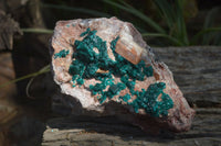 Natural Emerald Dioptase Matrix Specimen x 1 From Namibia - Toprock Gemstones and Minerals 
