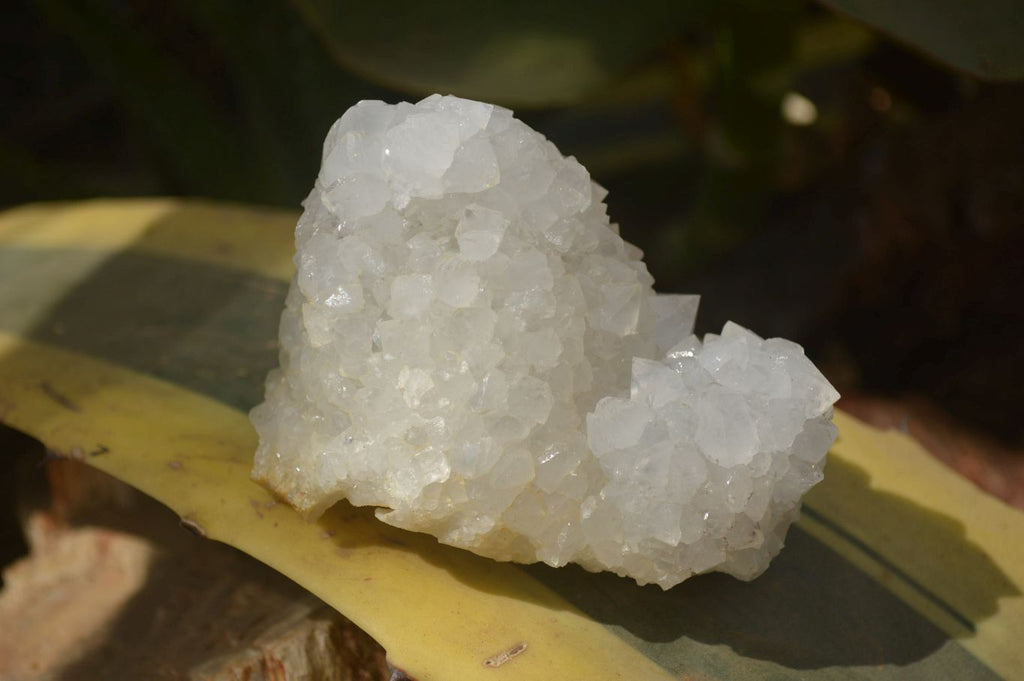 Natural Drusy Quartz Coated Calcite Pseudomorph Specimens x 6 From Lesotho - Toprock Gemstones and Minerals 